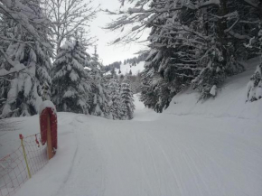 Les Brettaz Bellevaux